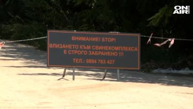 Откриха огнище на африканска чума и край Свищов