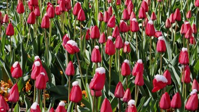 Времето днес: Дъжд, мокър сняг и поледици по пътищата