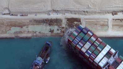 Хиляди животни бедстват заради заседналия кораб в Суецкия канал