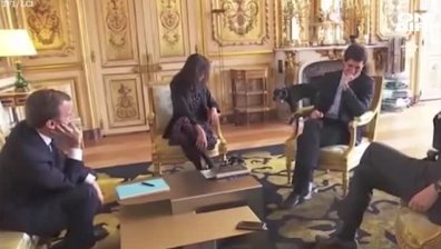 Кучето на Макрон "освободи напрежението" в Елисейския дворец