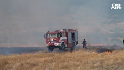 Изгоряха стотици декари лозя край Сопот 