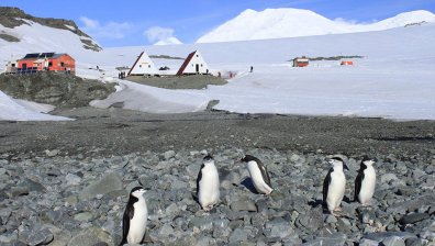 Проф. Пимпирев: Открихме българската антарктическа база с 20 дни закъснение