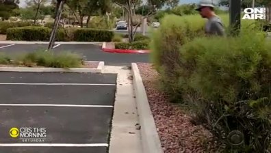 Нашествие: Скакалци превзеха Лас Вегас (Видео)