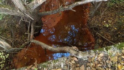 РИОСВ - София проверява нов сигнал за кафяви води на река Струма край Перник