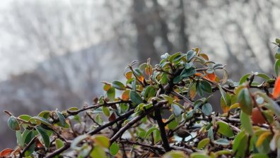 Времето в събота: Мъгли в низините и слънце в планините