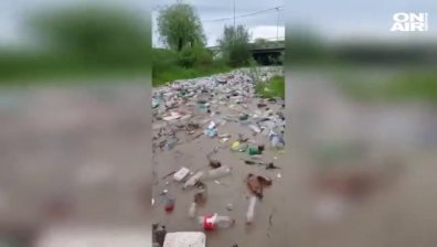 Река от боклуци в Румъния предизвика възмущение в социалните мрежи