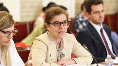 Френското предложение в центъра на разгорещени дискусии във външната комисия