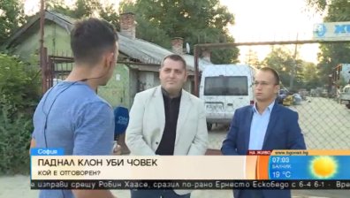 Дървета-убийци дебнат от всеки ъгъл... Кой ще поеме отговорността?