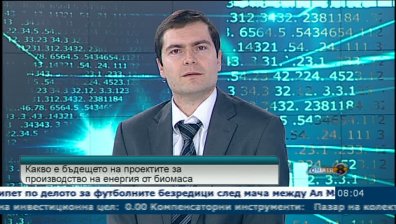 100 мегавата ток от биомаса до 2020, прогнозира асоциация