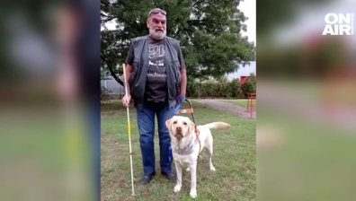 Автобусна компания отказала превоз на незрящ водач - кучето му водач щяло да изцапа