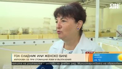 В БАН размножават ин витро лечебни растения