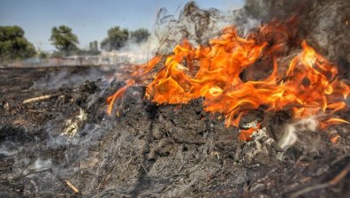 Откриха тяло на овъглен мъж в пожар на гробища в Стара Загора