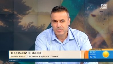 Над 90% от пожарите в горите се дължат на човешка небрежност