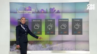 Централна прогноза