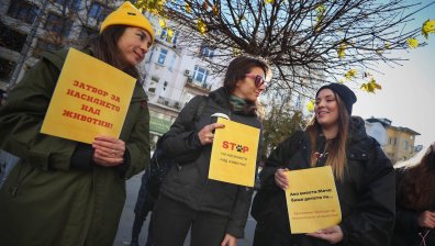 Нов протест пред Съдебната палата срещу насилника на кучето Мечо