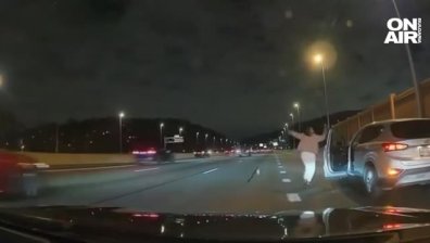 Чихуахуа беглец предизвика драматична ситуация на магистрала в САЩ