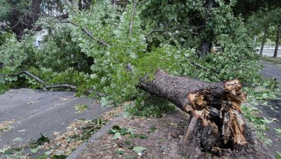 Кюстендил след бурята: Почистиха улиците, започна описването на щетите