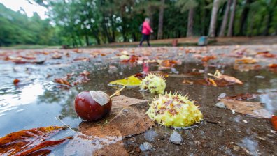 Времето разделя страната -  на места дъжд, другаде - слънце, а по високото - сняг