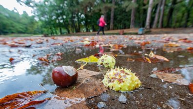 Очаква ни облачен четвъртък, следобед на места ще вали и гърми