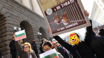 Граждани на протест! Не искат лъвчетата Терез и Масуд в Пазарджик