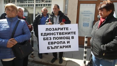 Лозарите излязоха на протест пред Министерството на земеделието