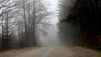 Ремонтират пътя за Златните мостове на Витоша