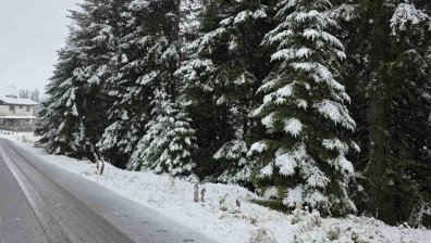 Сняг заваля в Смолян и Пампорово, има сигнали за закъсали автомобили (+ВИДЕО)