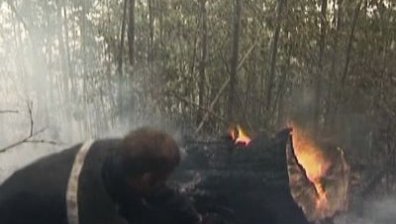 270 хил. дка горски масиви горят в Русия