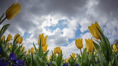 Бури, интензивни валежи и градушки в някои региони на страната във вторник
