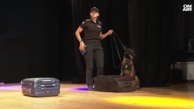 Кучета помагат на децата в борбата с наркотиците