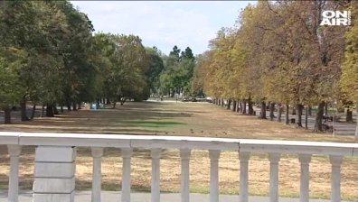 Мъртви катерици бяха открити в Борисовата градина в София