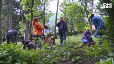 250 доброволци облагородиха района около Боянската църква