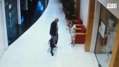 Шведският турист се срамувал от постъпката си