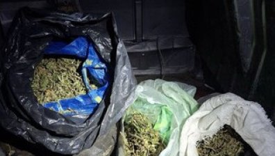 Спецоперация в Бобов дол: Откриха 8 кг марихуана
