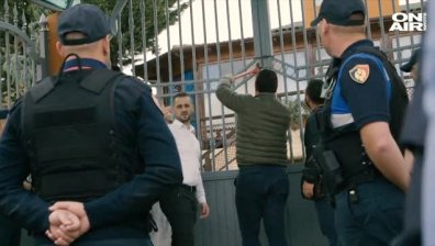 "Четири лапи" спаси десетки животни от албански "зоопарк от ада"