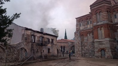 Пламъци обхванаха гръцки манастир в Стирио, още 500 животни са изпепелени