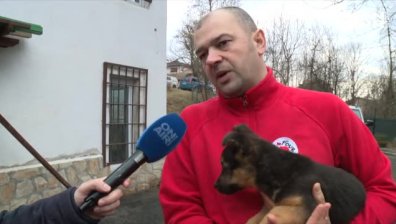 Безотговорни граждани масово изоставят кучета пред ветеринарна клиника