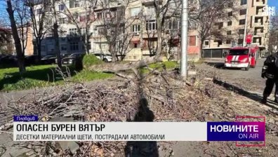 Обедна емисия