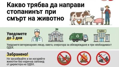 Важни указания на БАБХ при смърт на животно и предвидени санкции