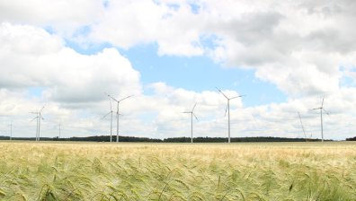 Ковид-19 направи невъзможното - намали значително вредните емисии