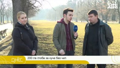 Какво да очакват стопаните на кучета? Нов закон и глоби за немаркирани животни