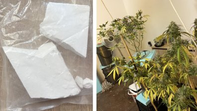 Полицията разби наркооранжерия и задържа четирима дилъри в София