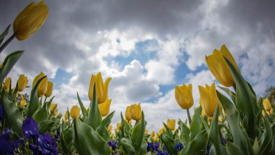 Слънцето пробива облаците, времето остава топло