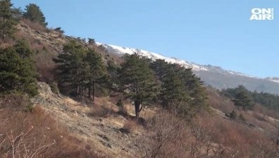 Извършиха две спасителни акции през изминалото денонощие