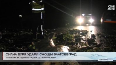 Топола се стовари опасно близо до автомобил