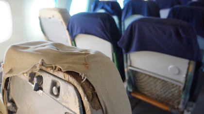 Дървеници налазиха пътници в самолет и провалиха полет от Рим