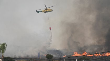 Горски пожар изпепели над 13 000 хектара край Мадрид