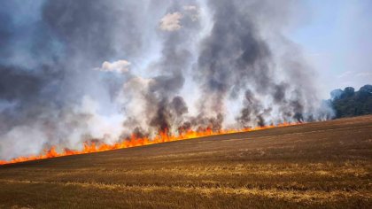 Опасни горещини: Въвеждат ограничения в Стара Загора заради риск от огнена стихия