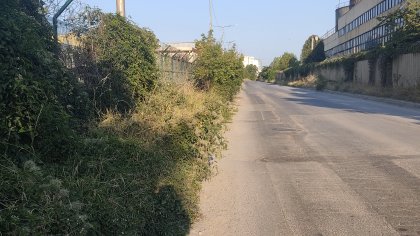 Опасности за пешеходците в столичния "Дружба" 2: Тротоари липсват, превзети са от храсти и треви 