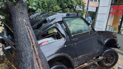 Бурята в София: Дърво падна върху майка и деца, коли са смачкани и улици под вода